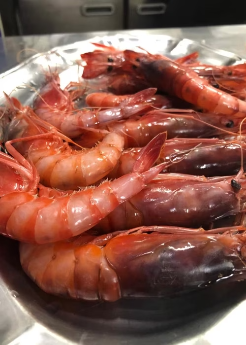Restaurante Maluquer Quattro gambas rojas y marisco en Valencia